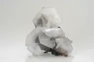 NMNH C19::1000871