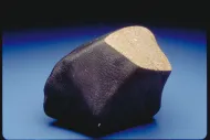 Plantersville (USNM 1228)::1001081