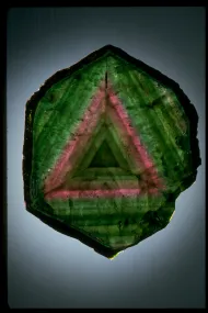 Zoned liddicoatite slice (NMNH B19178)::10246010