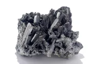 NMNH C7205::1000981