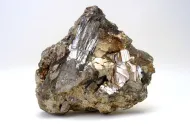 NMNH R11913::1000964