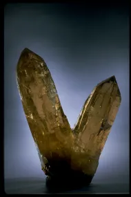 Citrine (NMNH 166840)::10246552