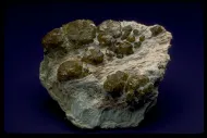Serpentine with Demantoid (NMNH 116884)::10246653