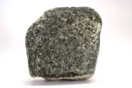 NMNH 110598::1000875
