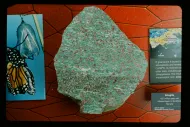 Eclogite (NMNH 116688)::10954455