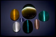 Group of Cat's Eyes (NMNH G3248, G3924, G5700, G3119, G3786, G2161, G3301)::10245790