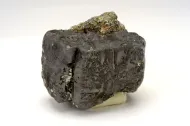NMNH R5022::1000992