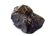 Nuevo Mercurio (USNM 6130)::1000958