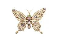 Baja Pearl Butterfly (NMNH G11816)::16905114