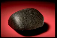 Lafayette (stone) (1505)::10246198