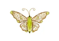 Peridot Butterfly (NMNH G11826)::17143867