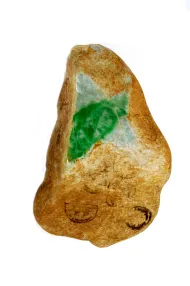 NMNH R6628::1000860