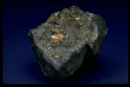 Sylvanite (NMNH R916)::10246421