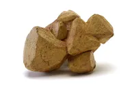 NMNH 162535::1000820