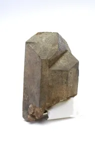 NMNH 12793::1000836