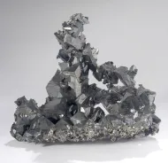 NMNH R19453::1000840