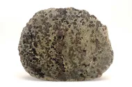 NMNH 110586::1000864