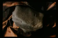 Plainview meteorite (USNM 575)::10979999