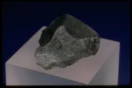 Magumbedze (USNM 6470)::1000918