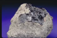Juvinas (USNM 6334)::1001065