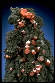 Vanadinite (NMNH C7000)::10246393