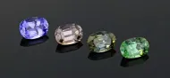Zoisite Group (NMNH G10581-10584)::13069346