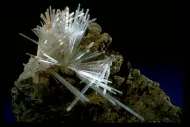 Gypsum (NMNH 117513)::10246477