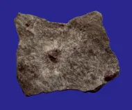 Mineral Sciences Specimen Photo::10949992