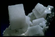 Calcite (NMNH 122900)::10246462