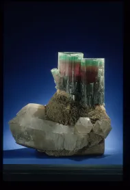 Steamboat (NMNH R51)::10963598