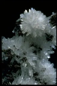Hemimorphite (NMNH R3898)::10246330