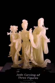 NMNH G8590::1000859