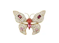 Topaz Butterfly (NMNH G11828)::17144009