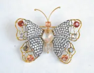 Feldspar Butterfly (NMNH G11822)::17144369