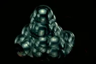 Hematite (36085)::10246316