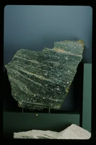 Rhyolite (NMNH 116619-37)::10954765