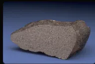 Shergotty (USNM 321-1)::1001118