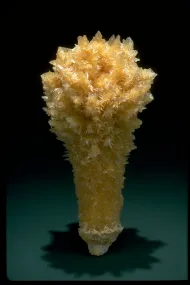 Calcite (NMNH 125167)::10246460