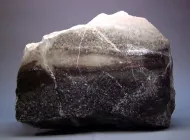 Garnet-bearing monzonite (NMNH 96558)::10950025