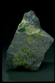 Forsterite (NMNH 170991)::10246646