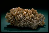 Pyromorphite (NMNH 140267)::10246372