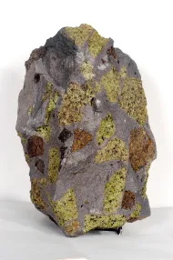 NMNH 116694::1000861