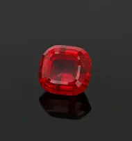 Rhodonite (NMNH G11673)::13069324