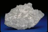 Carlton (USNM 585)::1001050