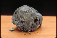 Orgueil (USNM 388)::1001075