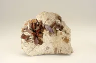NMNH R18907::1000996