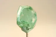 NMNH G7848::1000994