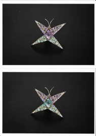 Alexandrite Butterfly (NMNH G11815)::16905385