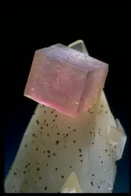 Fluorite with Chalcopyrite (NMNH 147397)::10246342