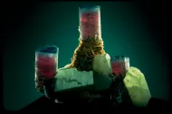 Candelabra (NMNH 132377)::10246499